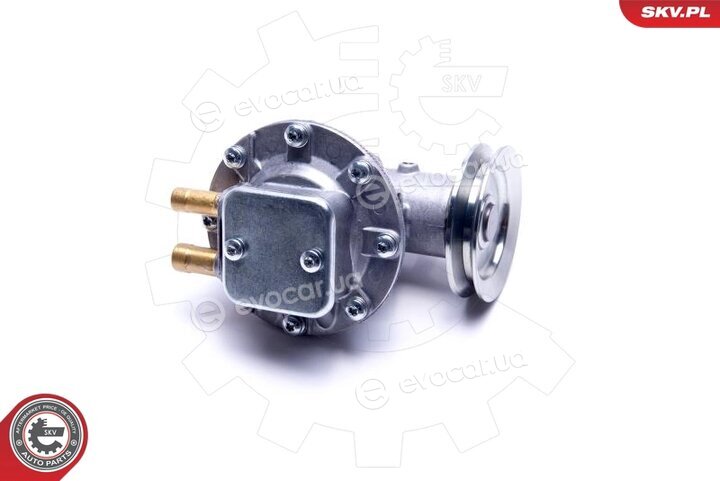 SKV 18SKV037