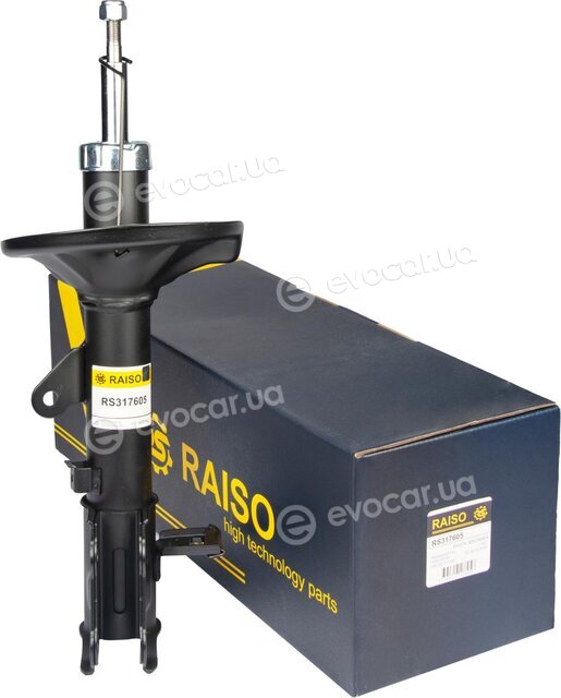 Raiso RS317605
