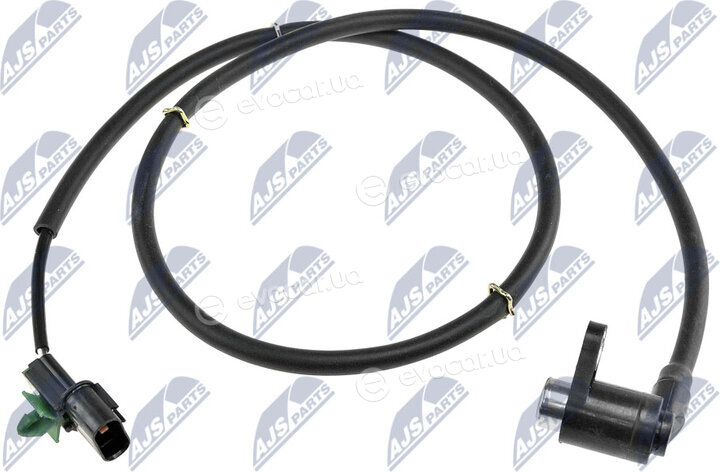 NTY HCA-MS-029
