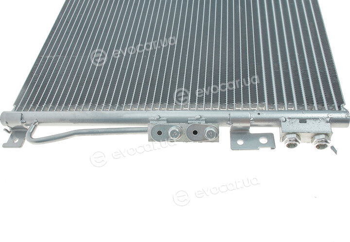 Van Wezel 21005045