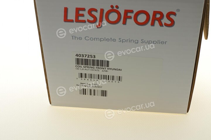 Lesjofors 4037253