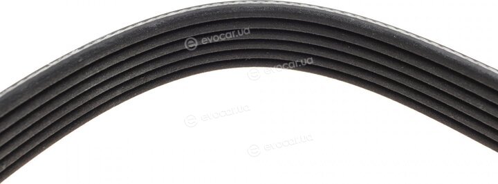 Dayco 6PK2240