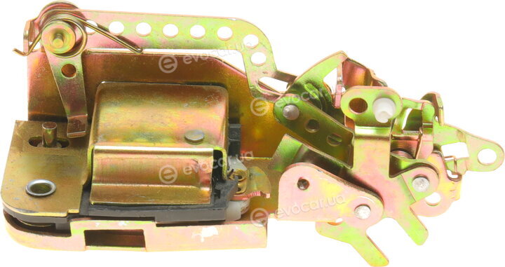 Solgy 305103