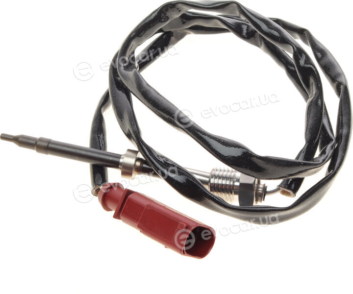 Solgy 115083