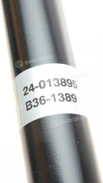 Bilstein 24-013895