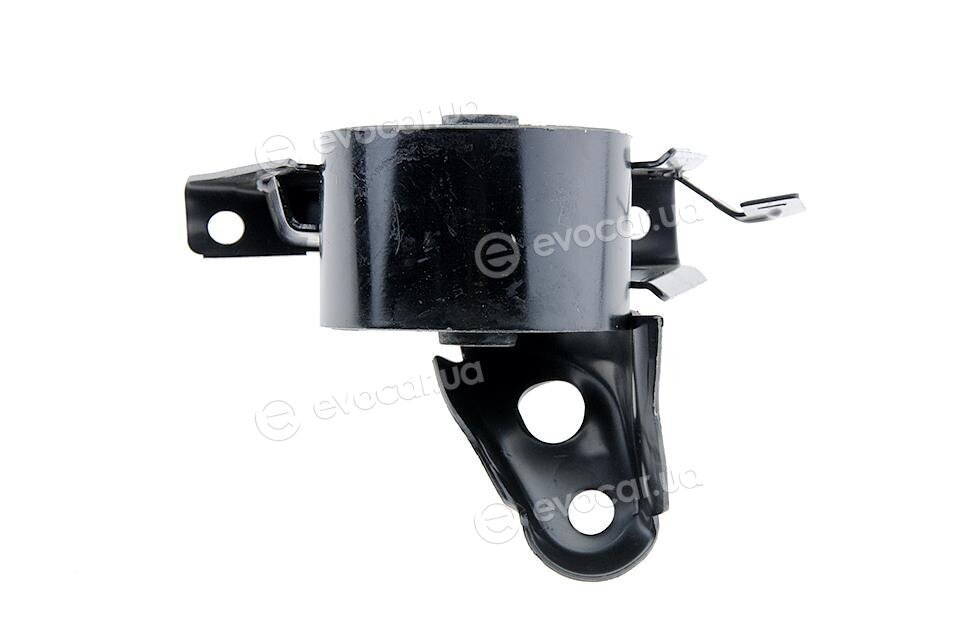 NTY ZPS-NS-068
