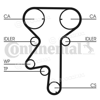 Continental CT975WP3