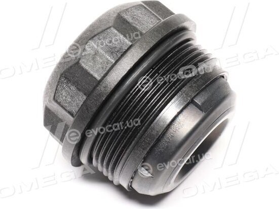 BorgWarner DS120359