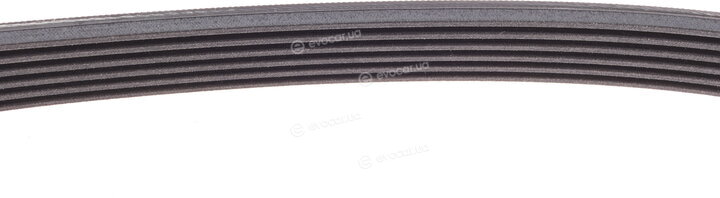 Continental 6PK698