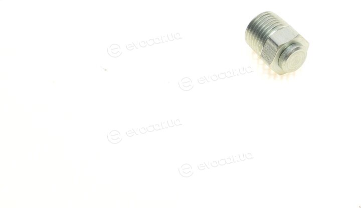 Blue Print ADG03904