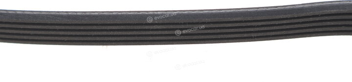 Dayco 5PK1175