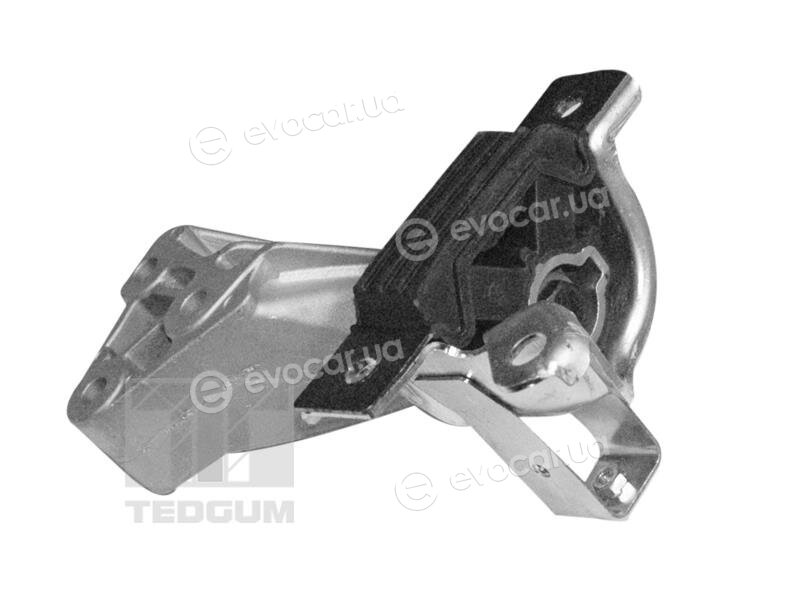 Tedgum 00219260