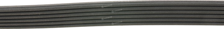 Continental 6PK1306