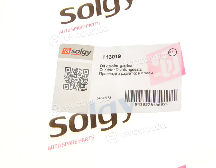 Solgy 113019