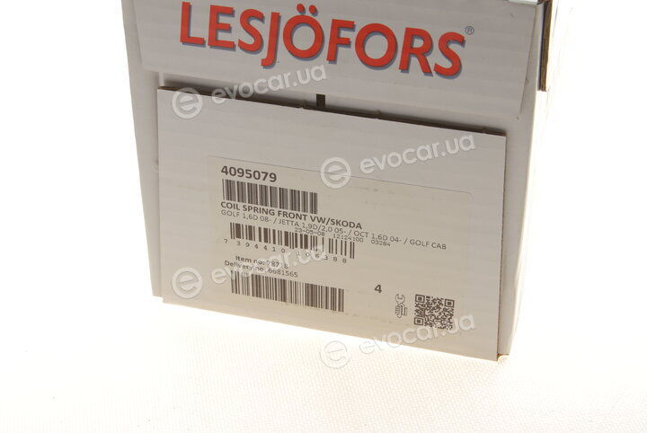 Lesjofors 4095079