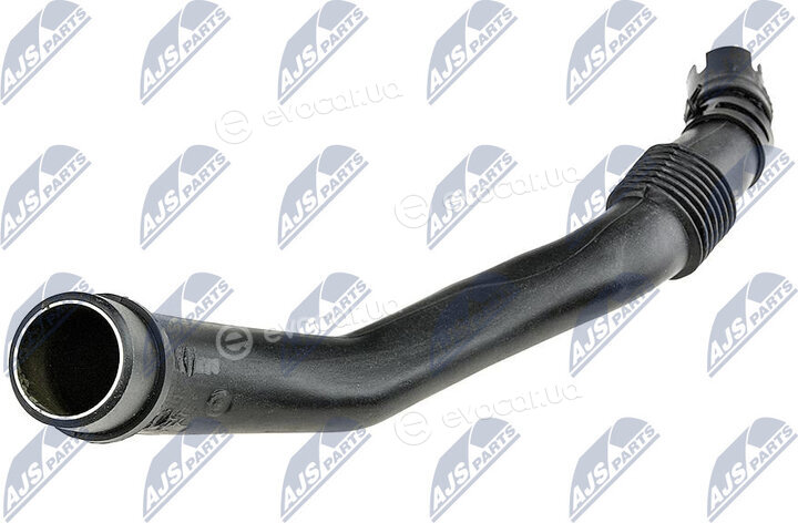NTY GPP-AU-005
