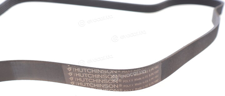 Hutchinson 1982 K 6