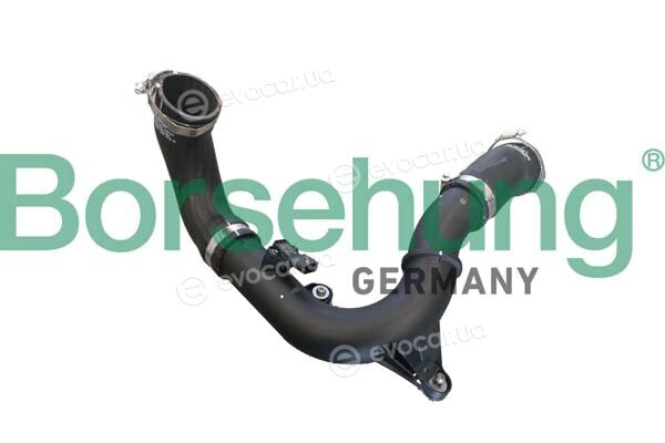 Borsehung B12347