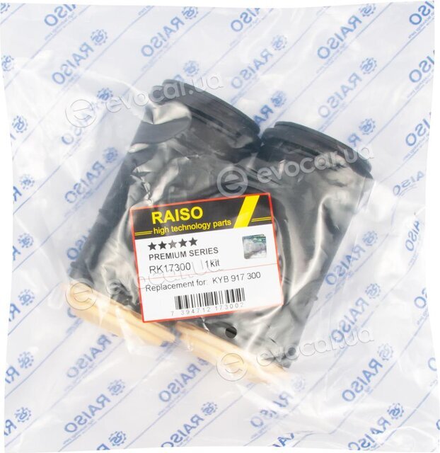 Raiso RK17300