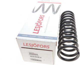 Lesjofors 4204202