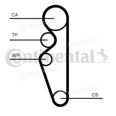 Continental CT1164