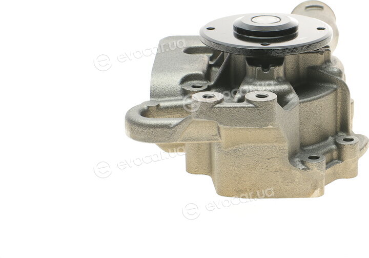 Hepu P1554