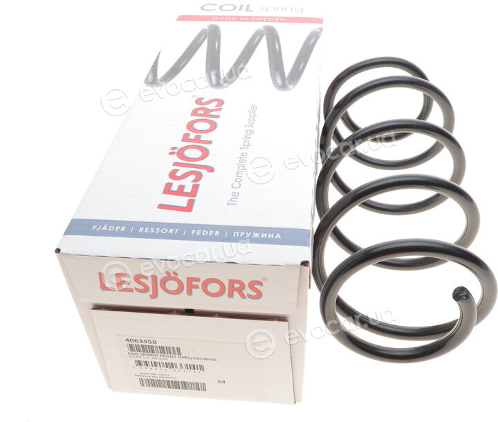 Lesjofors 4063458