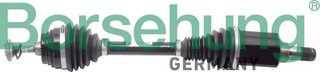 Borsehung B12494