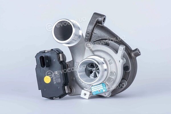 BorgWarner 54399880107
