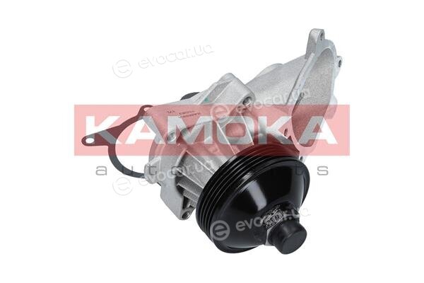 Kamoka T0063