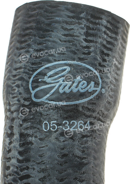 Gates 05-3264
