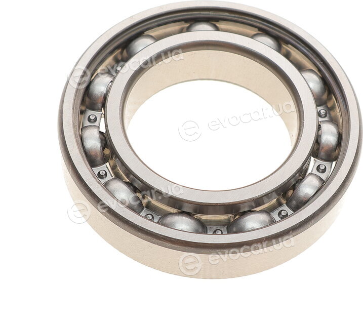 FAG 6007.C3