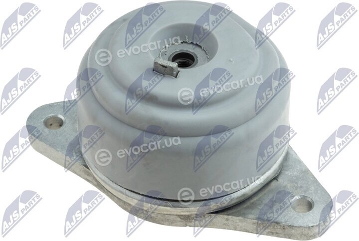 NTY ZPS-MS-011