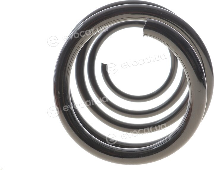 Solgy 212151