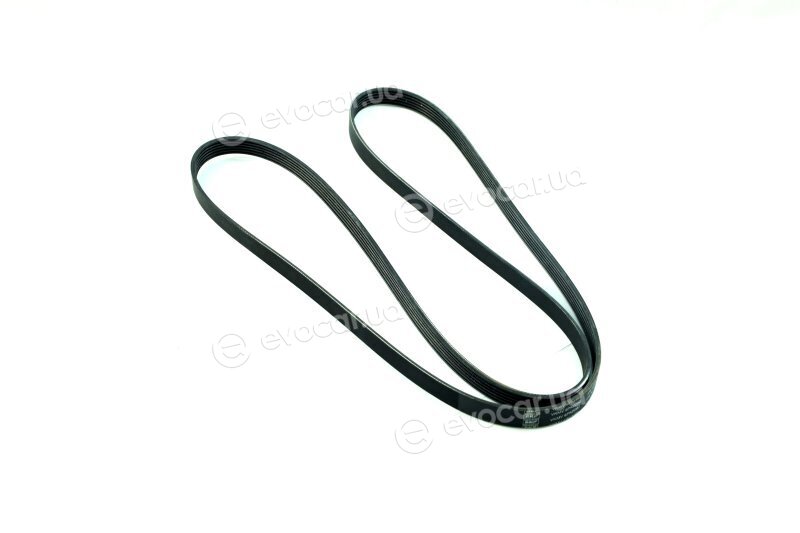 SKF VKMV 6PK2080