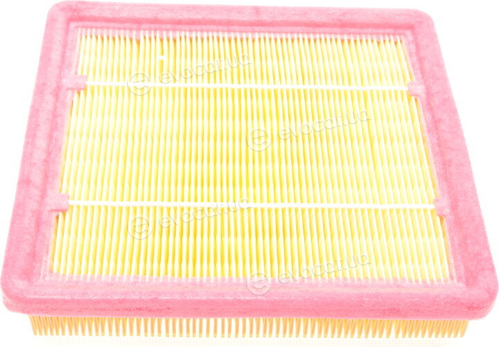 Solgy 103092