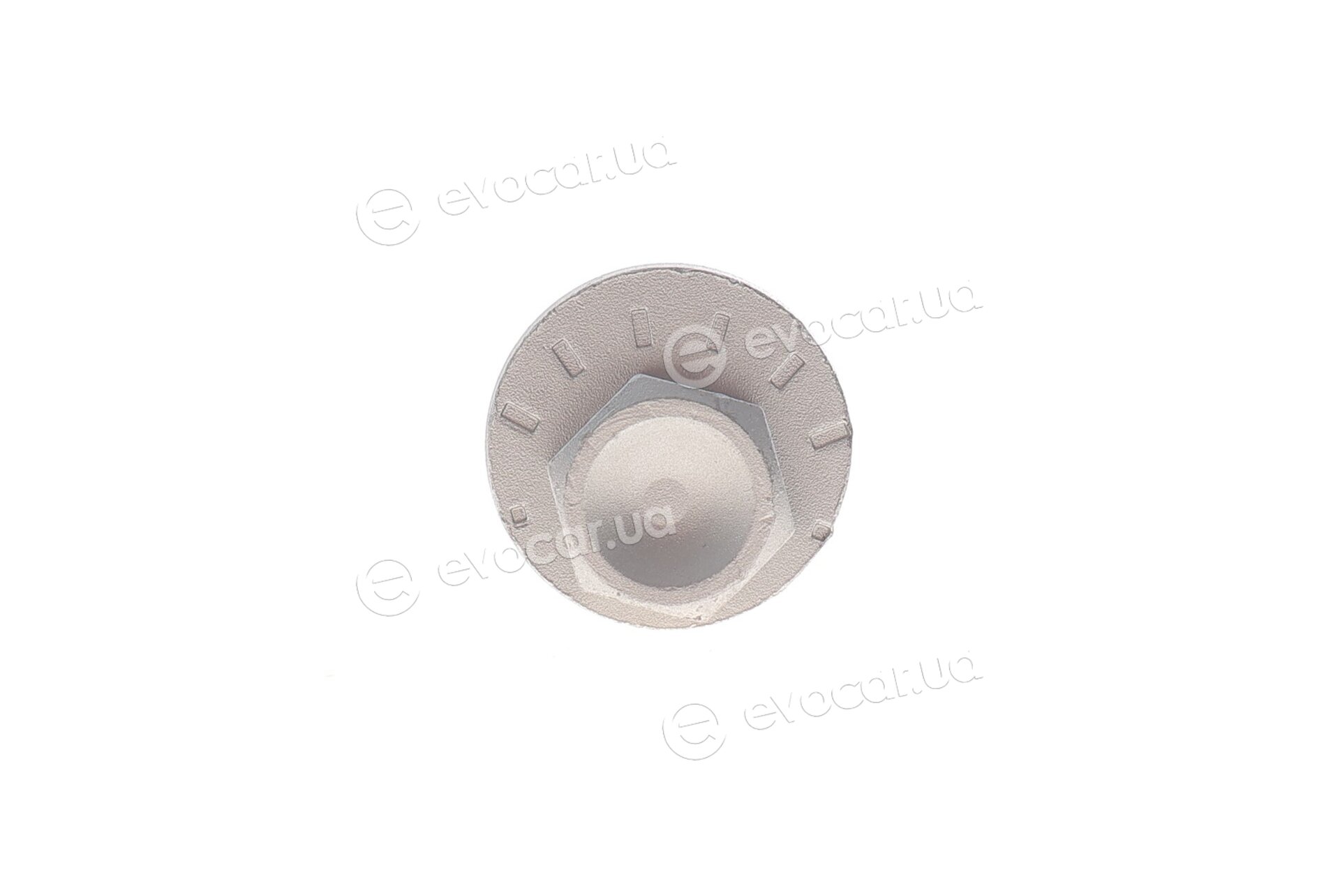 Solgy 204251