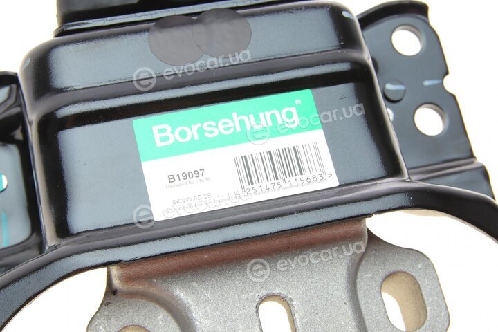 Borsehung B19097