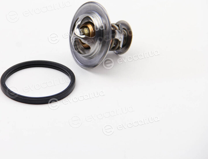 Motorad 373-77K