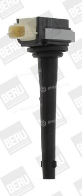 Beru ZSE161