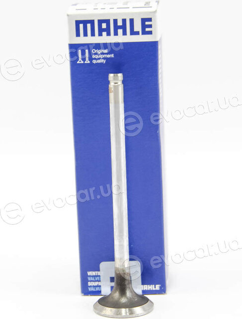 Mahle 031 VA 30320 100