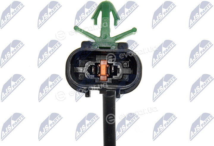 NTY HCA-MS-081