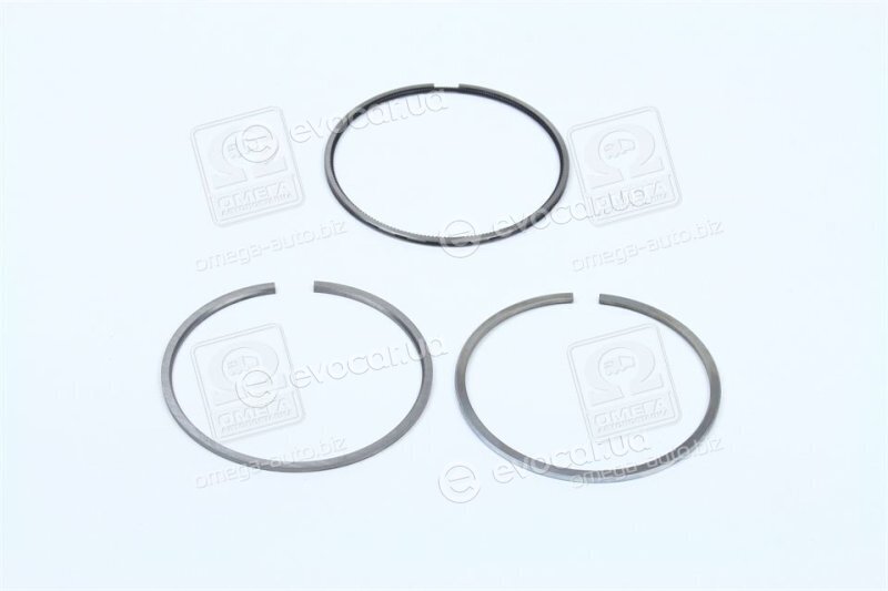 Mahle 022 01 N0