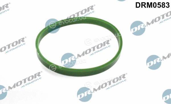 Dr. Motor DRM0583