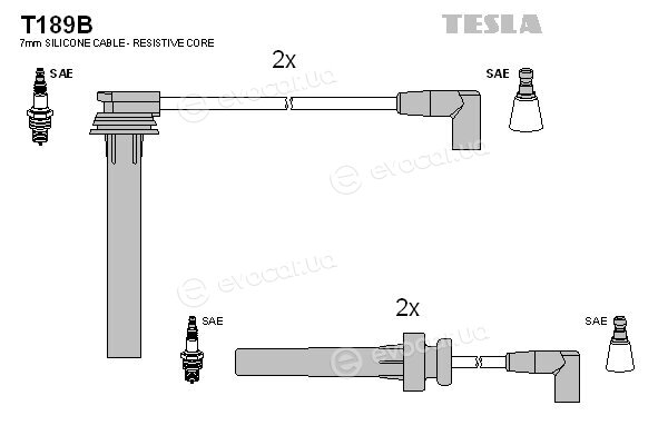 Tesla T189B