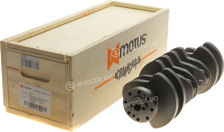 Motus MTS 0252
