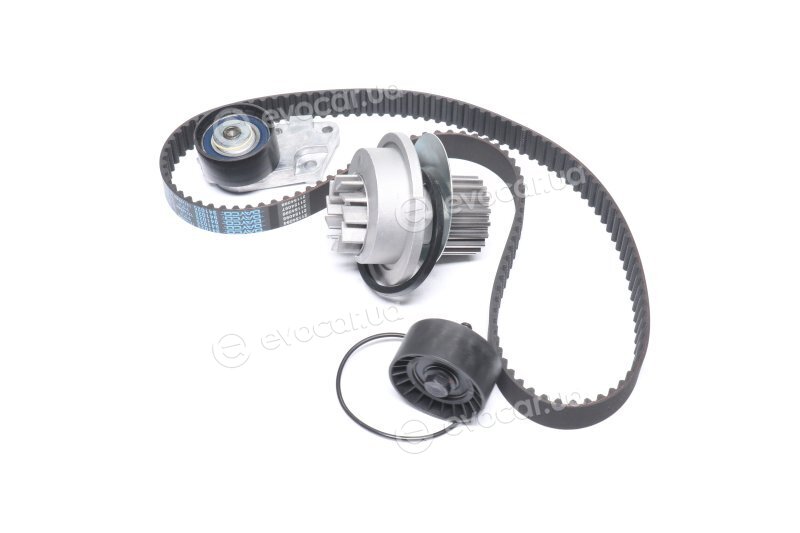 Dayco KTBWP5591