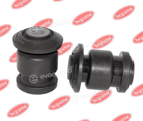BC Guma 0938