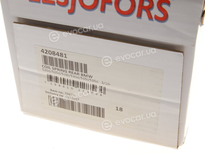 Lesjofors 4208481