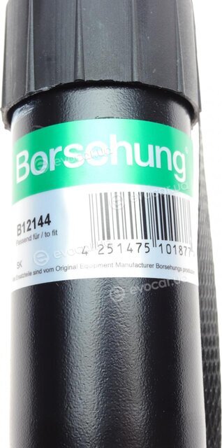 Borsehung B12144